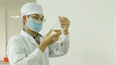 定制型蛋白水解復合酶研發 定制型蛋白水解復合酶研發